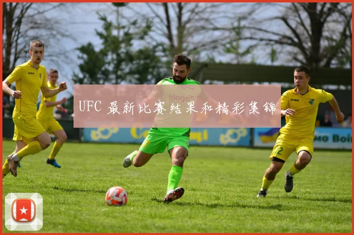 UFC 最新比赛结果和精彩集锦