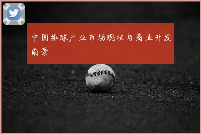 中国排球产业市场现状与商业开发前景